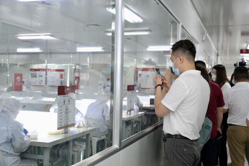 數(shù)十家權威媒體齊聚燕之屋透明工廠,匠心品質(zhì)獲認可